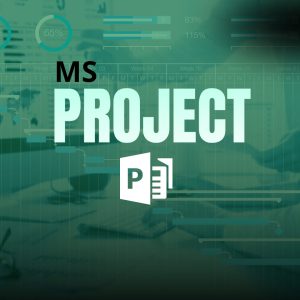 GESTÃO DE PROJECTO COM MS PROJECT
